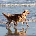 Playing-at-the-beach-1